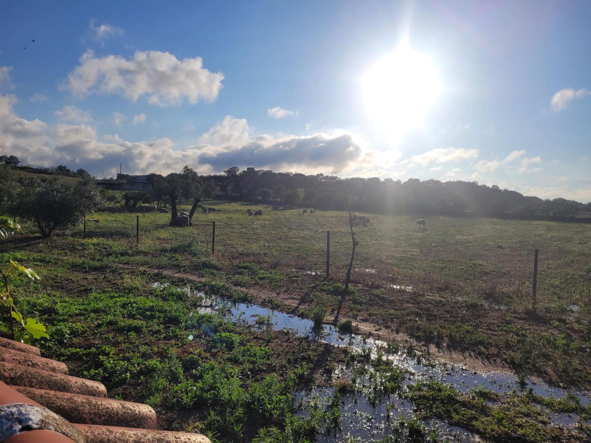 Complejo Rural El Soldado Villa Villanueva del Duque Buitenkant foto